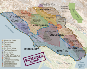 Sonoma-Wine-Tours