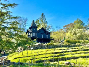 Napa-Wine-Tours