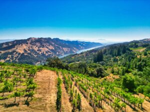Rockpile Wine Growing Region Views From Drone