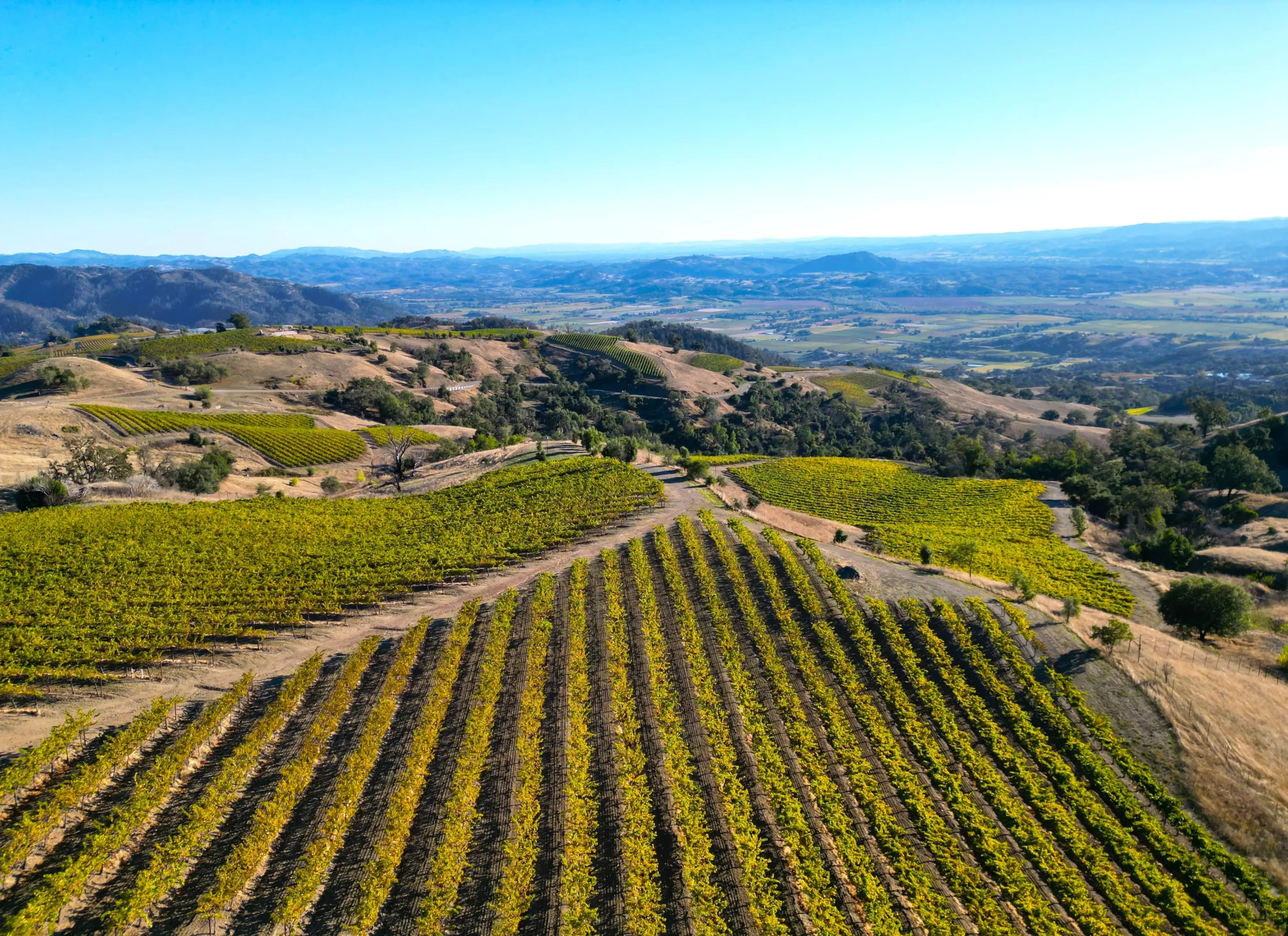 Drone footage of Alexander Valley Wineries