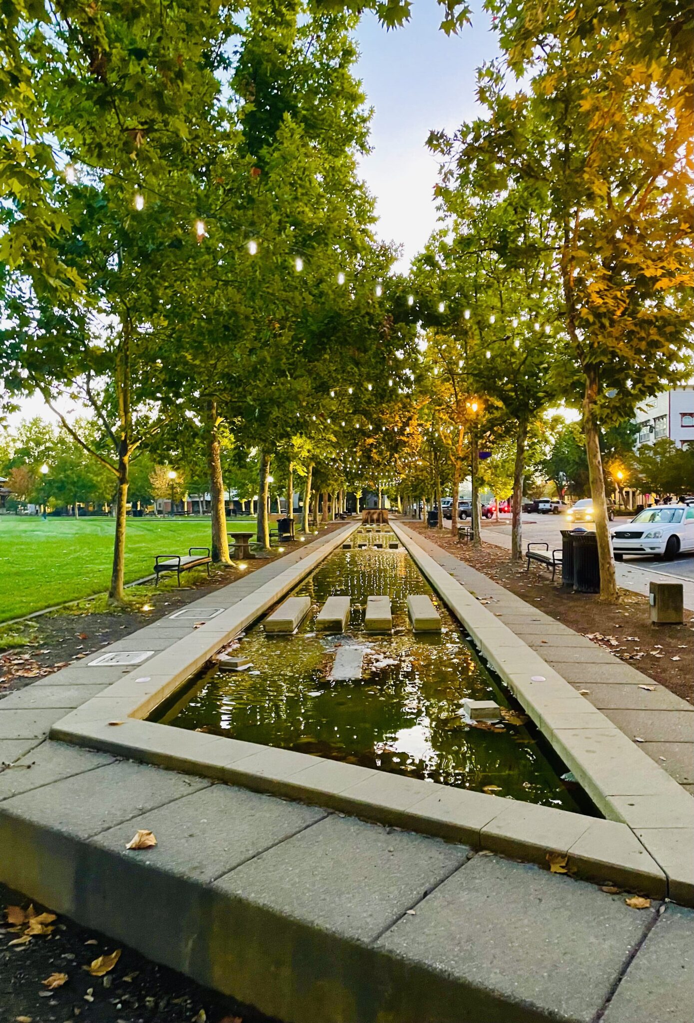 Sonoma / Healdsburg Wine Tours Windsor Wine Tours