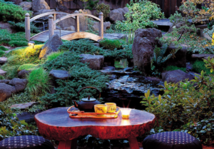 Osmosis Spa in Sonoma County