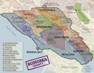 Sonoma County wineries
