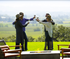 Healdsburg Wine Tours