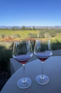 Healdsburg Wine Tours