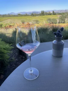 Healdsburg Wine Tours