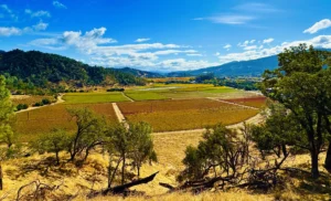 Calistoga Wine Tours