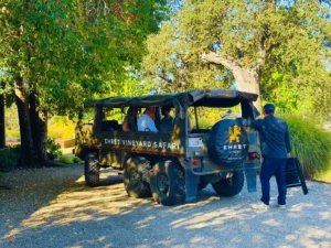 Calistoga-Wine-Tours